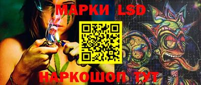 spice Кинель