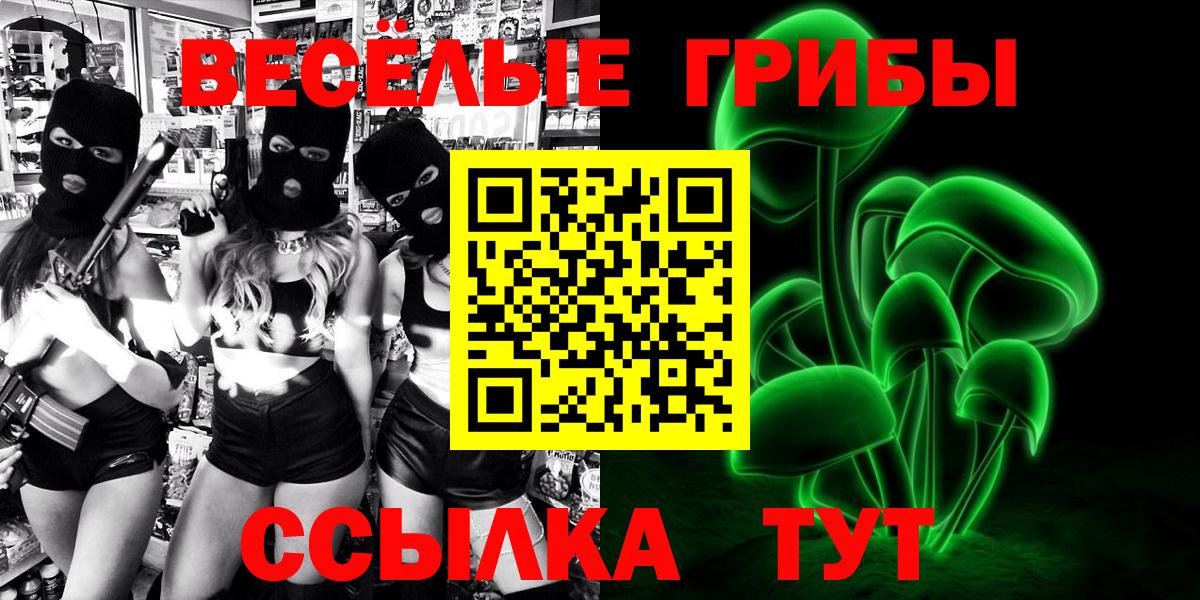 Кемерово  Псилоцибиновые грибы Psilocybe  Вход с VPN 