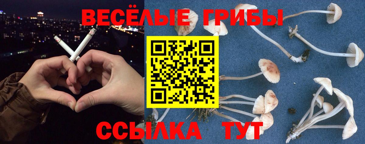 Псилоцибиновые грибы ЛСД Кемерово